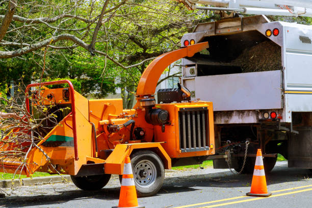 Best Tree Mulching  in Lavaca, AR